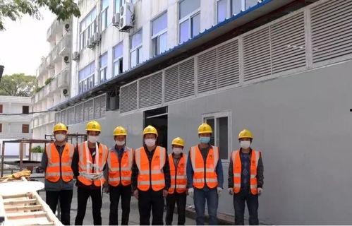 洋庄下村新闻头条,揭秘乡村振兴新典范，共筑美丽乡村梦