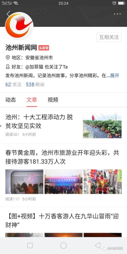 新闻头条号申请入口,轻松入驻成为内容创作者！