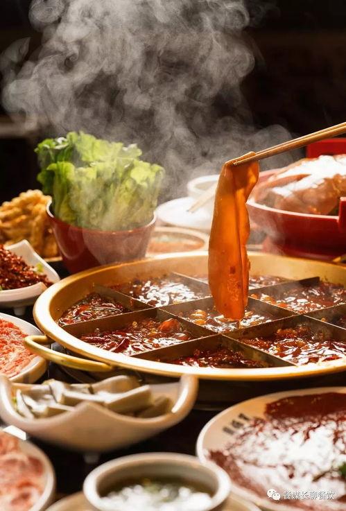 网红小猫火锅,萌宠美食新潮流