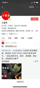 微头条热土计划方法,探索乡村振兴的微观路径与实践智慧