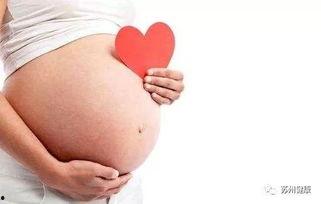 网红道歉孕妇感染病毒,孕妇感染病毒引发社会关注与反思
