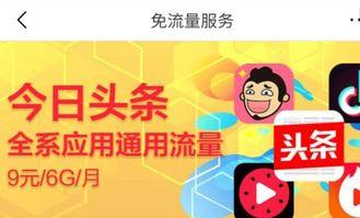 头条有专用流量包吗吗,头条独家流量包，畅享高速网络新体验！