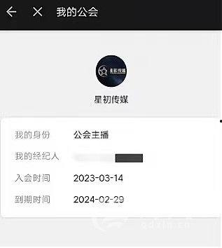 头条直播怎么加公会,轻松加入公会，开启直播新篇章