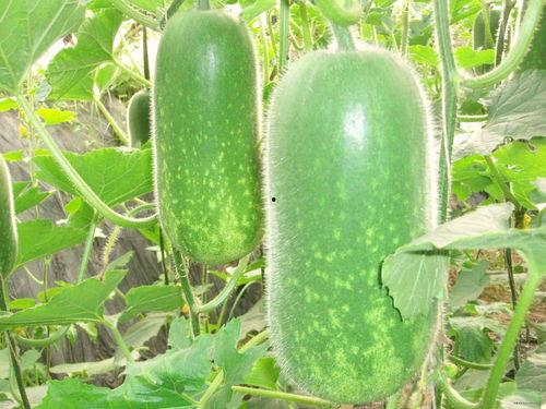 小屹吃瓜,揭秘娱乐圈那些不为人知的幕后故事