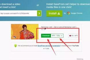 如何快速看头条视频收益,揭秘快速查看头条视频收益的秘诀