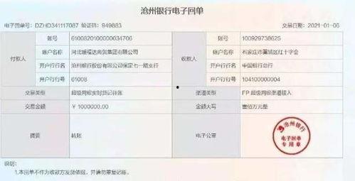 网红 上海疫情捐款,网红助力，爱心汇聚战“疫”力量