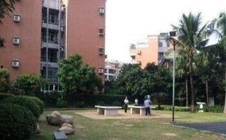 广州碧桂园今日头条,揭秘新项目亮点，引领区域房产新潮流