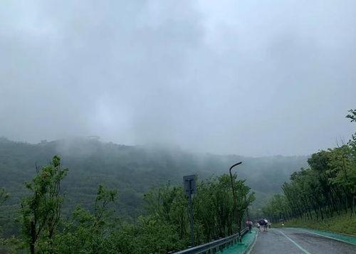 安山网红森林公园,绿意盎然的生态秘境