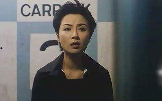 明星志愿三级,梦想舞台，星光璀璨的青春之旅