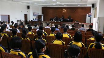 21届廉江司法吃瓜,吃瓜群众视角下的司法大事件回顾