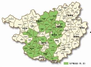 全国新闻头条城市分布,城市热点分布一览