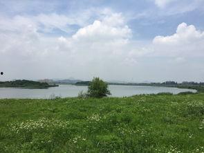 老余杭南湖公园网红,网红打卡地的魅力之旅