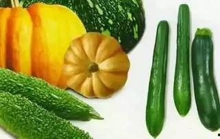 十四冬外协吃瓜,吃瓜群众眼中的精彩瞬间”