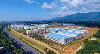 柴桑区新塘新闻头条