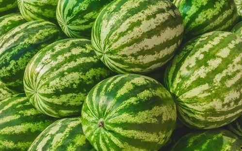 今日吃瓜热门大瓜免费观看,免费观看，揭秘娱乐圈幕后真相！