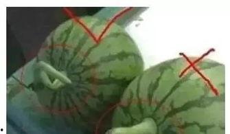 吃瓜不晚,揭秘娱乐圈幕后真相