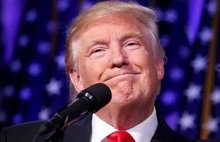 恩齐当面吃瓜,揭秘娱乐圈幕后风云