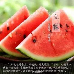 立秋吃瓜啥说法,探寻“立秋吃瓜”的传统习俗