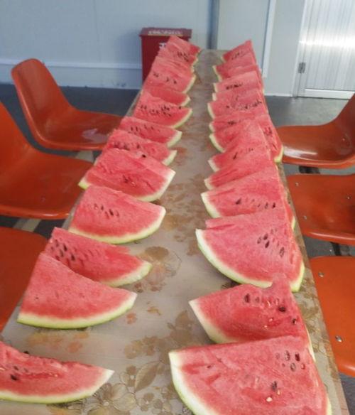 酷拽吃瓜,揭秘娱乐圈幕后真相