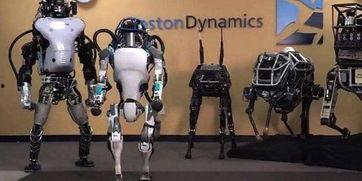 网红机器人,科技与娱乐的完美融合