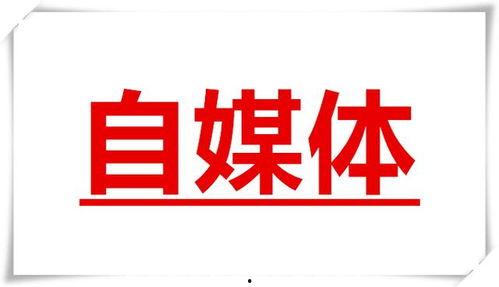 自媒体为什么首选头条,头条平台成为内容创作者首选之地