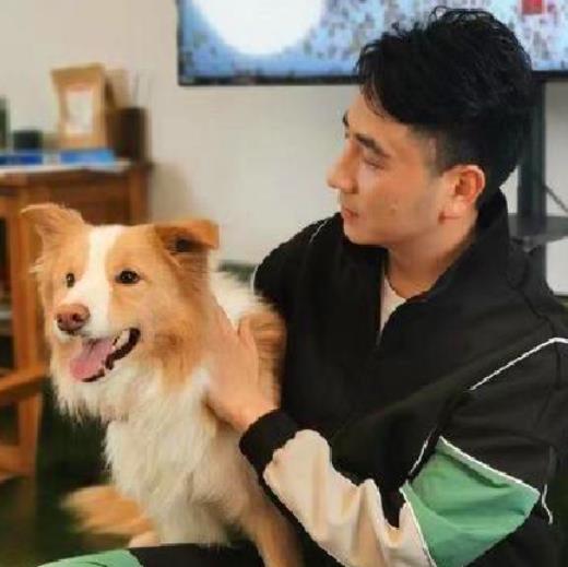 网红林生斌诈捐