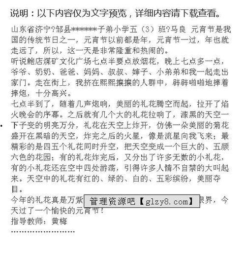 网红街的灯的作文,网红街夜色璀璨