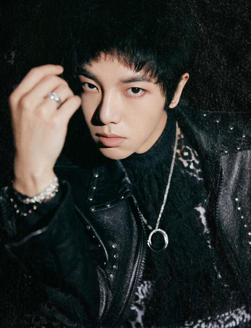 明星帅气的出场