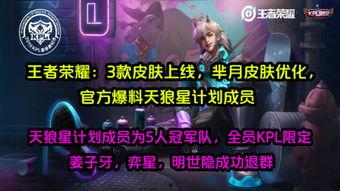 七款皮肤优化最新爆料,华丽蜕变，等你来鉴！